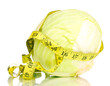 cabbage with measuring tape isolated on white