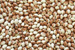 Soup Beans I
