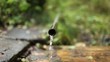 Video: Jet of water is coming out of a pipe Jet of water is coming out of a pipe
