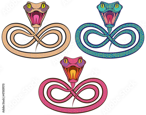 Vector: Symbol of the year - a snake. color image Symbol of the year - a snake. color image