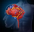 Heart Brain