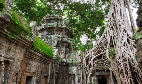 Photo: Ta Prohm trees, Angkor Wat Ta Prohm trees, Angkor Wat