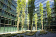 Modern glass office bulding