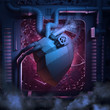 Heart machinery