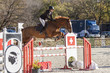 Horse jumping