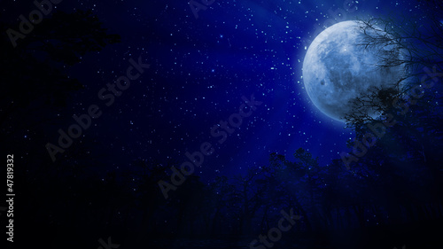 Illustration: Full Moon Full Moon