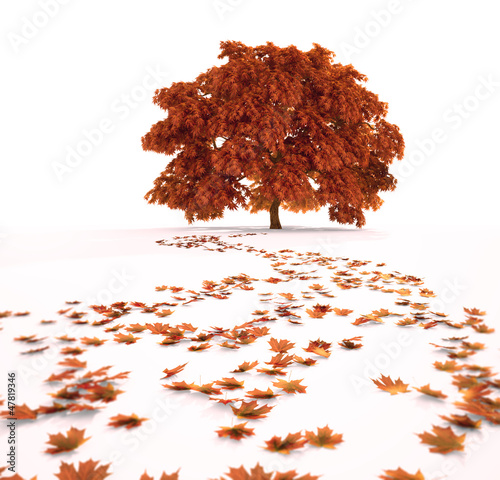 Illustration: Autumn maple tree Autumn maple tree