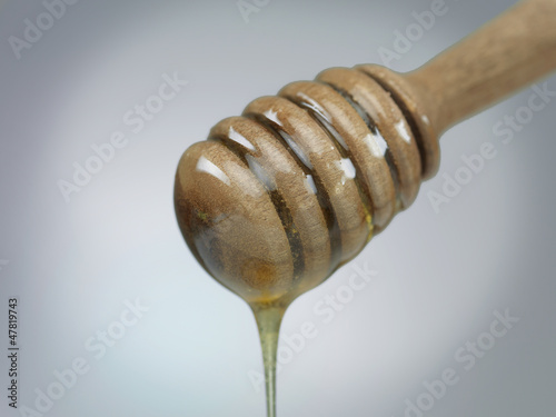 Photo: honey dripping from a wooden stick honey dripping from a wooden stick