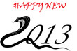Snake year