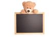 Teddy Bear with empty Sign