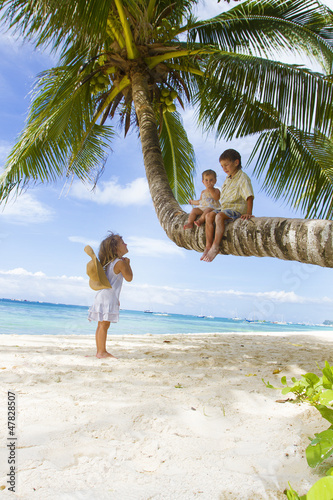 Photo: three children - boy and girls - sitting on palm tree on tropica three children - boy and girls - sitting on palm tree on tropica