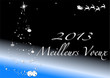 meilleurs voeux 05