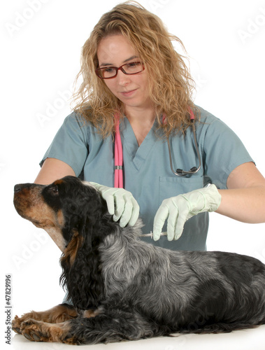 Photo: veterinary care veterinary care