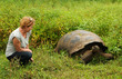 Bei den Riesenschildkröten