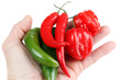 Hot chili peppers in hand, isolated on white