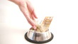 HD - Dog starts to eat money