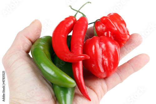 Photo: Hot chili peppers in hand, isolated on white Hot chili peppers in hand, isolated on white