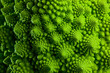 Photo: Romanesco broccoli cabbage marco Romanesco broccoli cabbage marco