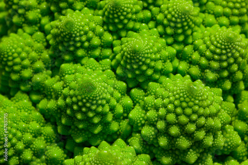 Photo: Romanesco broccoli cabbage marco Romanesco broccoli cabbage marco