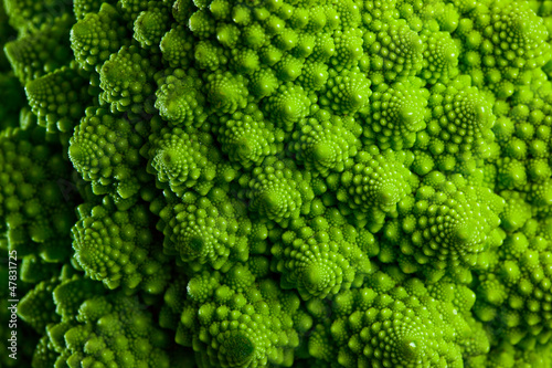 Photo: Romanesco broccoli cabbage marco Romanesco broccoli cabbage marco