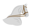 Bridle on horse head