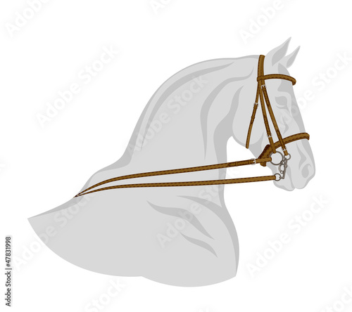 Vector: Bridle on horse head Bridle on horse head