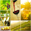 Wein