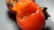 Diospyros kaki 감나무 Хурма восточная