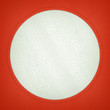 Red and white stitched circle shape on mock croc