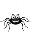 black spider