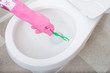 Toilet Cleaning