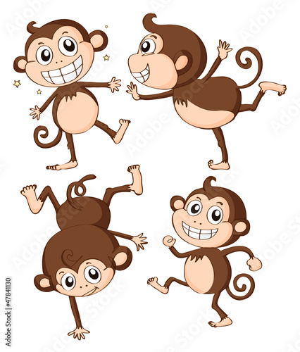 Vector: Four monkeys Four monkeys