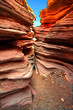 Anniversary Narrows in Nevada