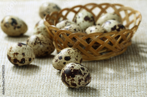 Photo: Quail eggs Quail eggs