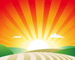 Agriculture Landscape