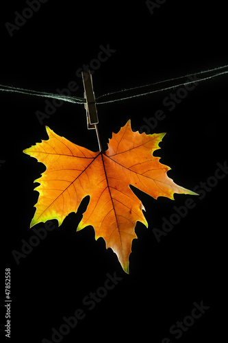 Photo: alegoría sobre el otoño alegoría sobre el otoño