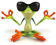 Fun frog