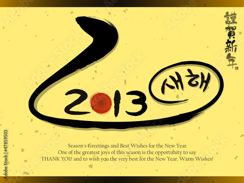 Vector: Year of the snake in 2013 new year greeting cards. New Year Card Year of the snake in 2013 new year greeting cards. New Year Card