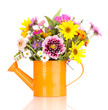beautiful bouquet of bright flowers in watering can isolated
