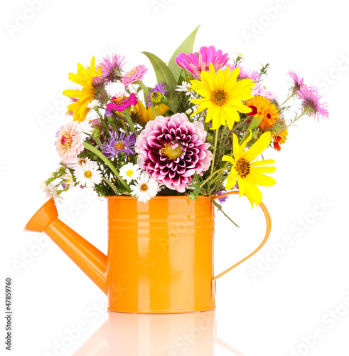 Photo: beautiful bouquet of bright flowers in watering can isolated beautiful bouquet of bright flowers in watering can isolated