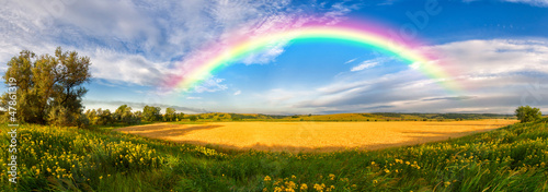 Photo: Panorama of a big summer field Panorama of a big summer field