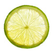 Limettenscheibe im Durchlicht