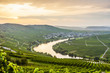 famous Moselle Sinuosity with vineyards