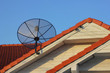 Satellite dish