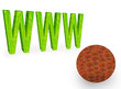 Green W