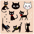 黒猫