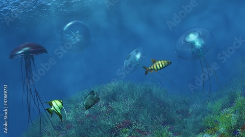 Illustration: pieuvres pieuvres