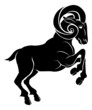 Vector: Stylised ram illustration Stylised ram illustration