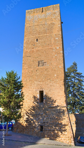 Photo: Tower of Lavello. Tuscania. Lazio. Italy. Tower of Lavello. Tuscania. Lazio. Italy.