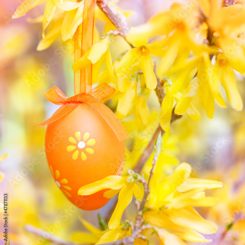 Photo: easter egg on forsythia easter egg on forsythia
